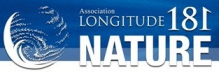 Longitude181